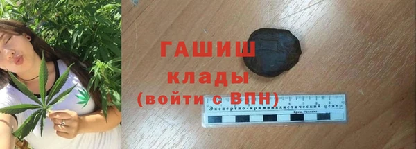 сатива Балахна