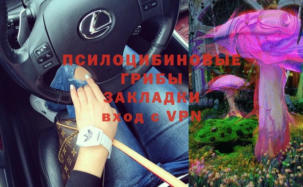 сатива Балахна