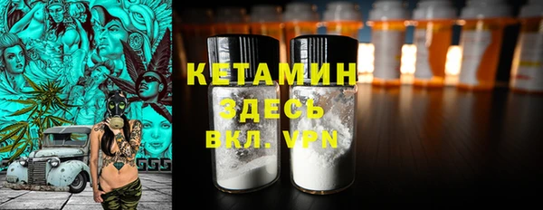 прущие грибы Саяногорск
