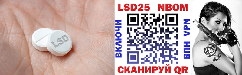где можно купить наркотик  Новая Ладога  ЛСД экстази кислота 